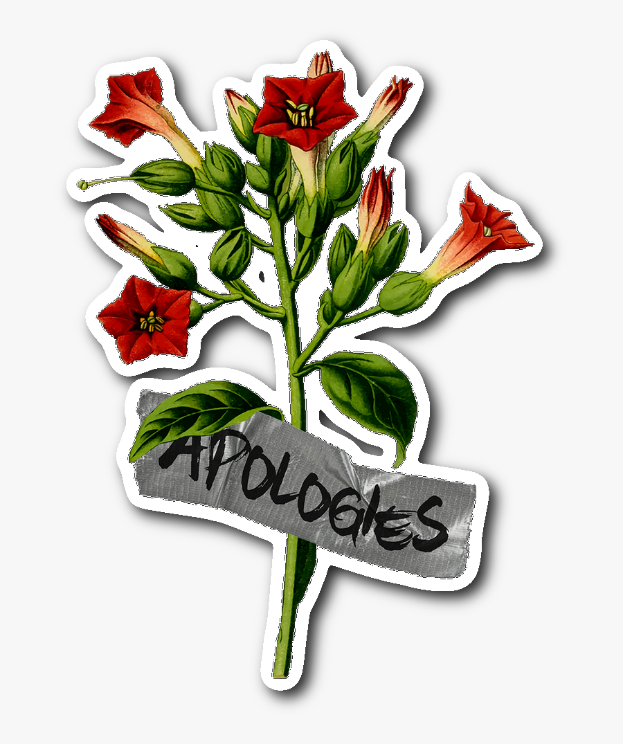 Duct Tape Sticker - Tobacco Plant Clipart, Transparent Clipart