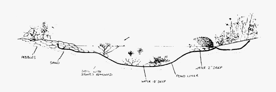 Garden Sketch Png, Transparent Clipart