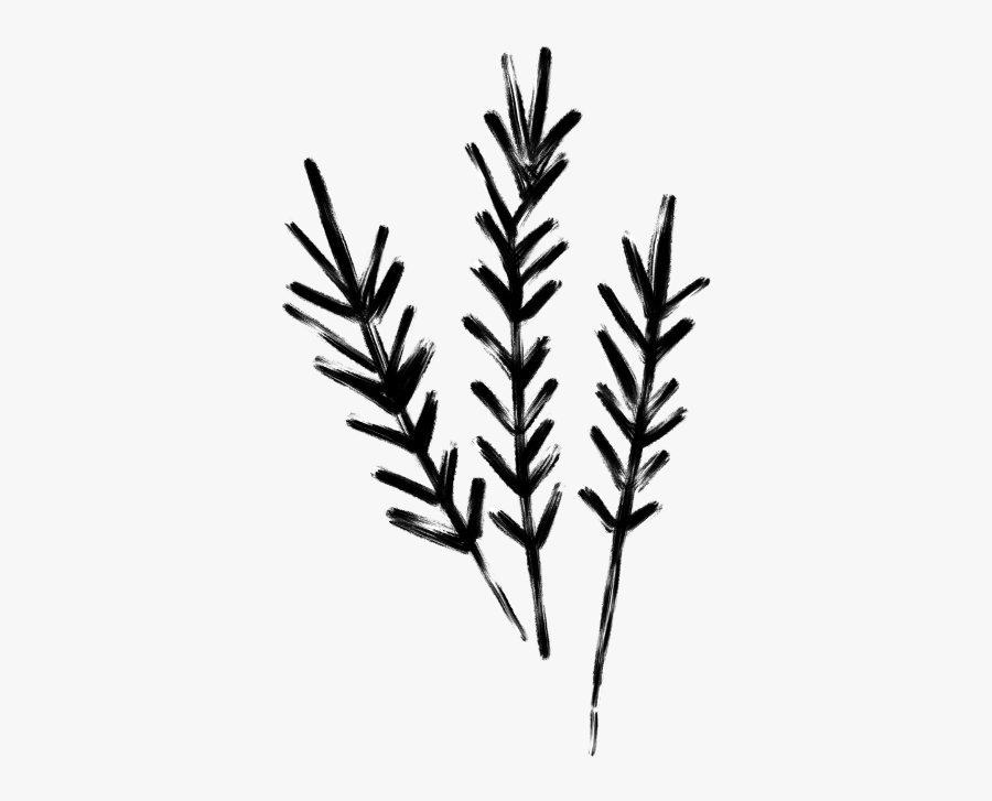 Floral Flower Flowers Weeds Plants - Silhouette, Transparent Clipart