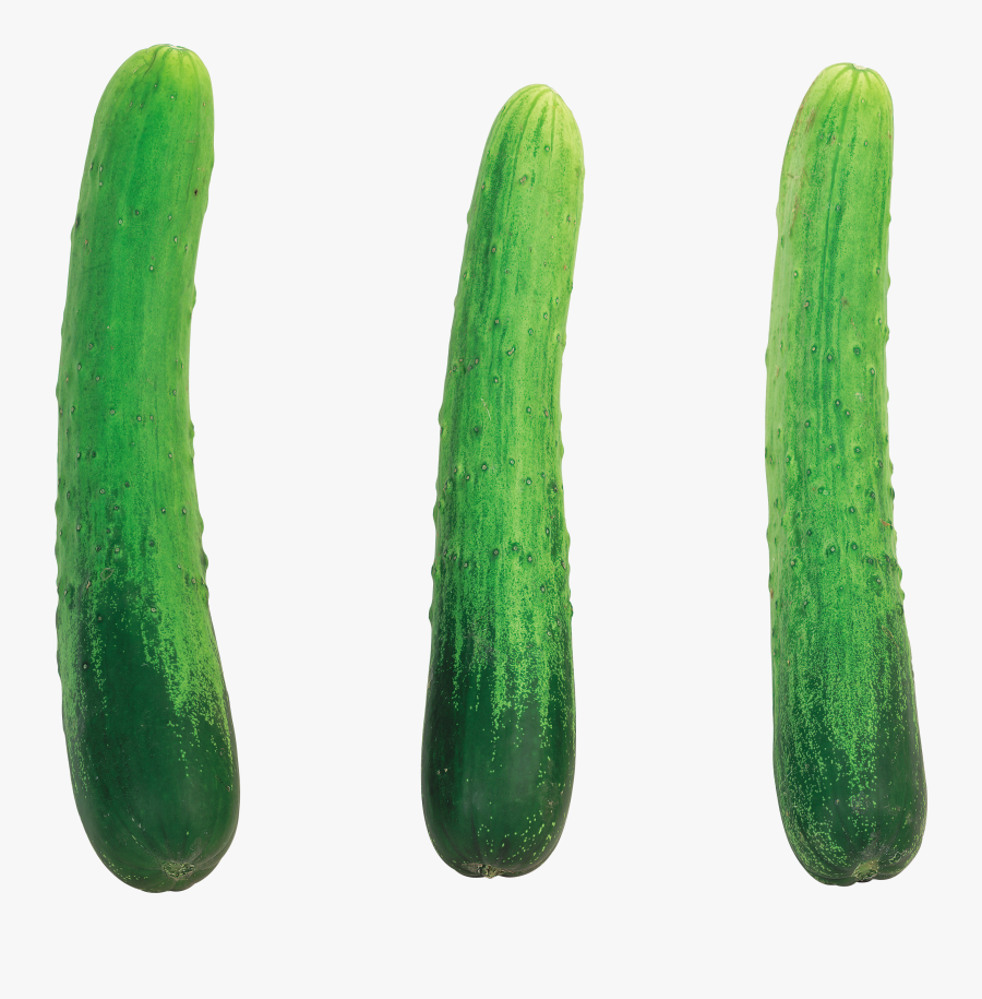 Transparent Cucumber Clipart - Cucumber With No Background, Transparent Clipart
