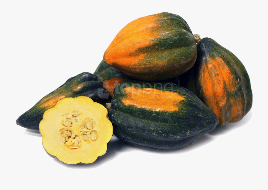 Acorn-squash - Makanan Yang Mengandung Kalium, Transparent Clipart