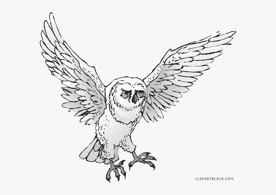 Transparent Owl Clip Art - Flying Snowy Owl Clipart, Transparent Clipart