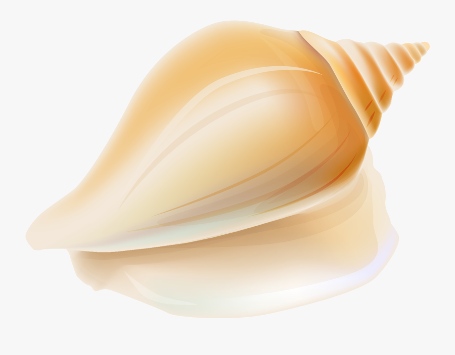 Transparent Seashell Clipart - 3d Sea Shell Transparent Background Png, Transparent Clipart