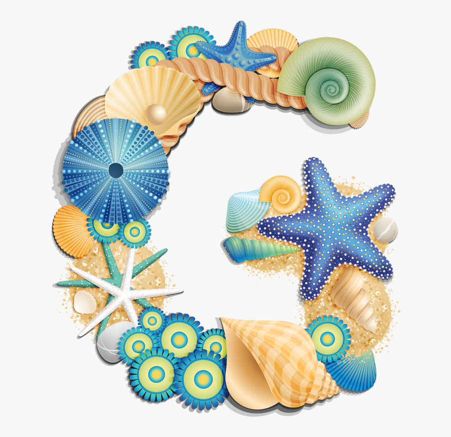 Фото, Автор Arana На Яндекс - Letras Con Conchas De Mar, Transparent Clipart