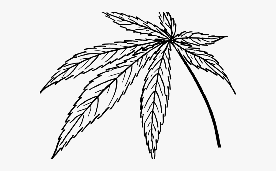 Leaves Clipart Tobacco Leaf - Cannabis Leaf Png Drawing, Transparent Clipart