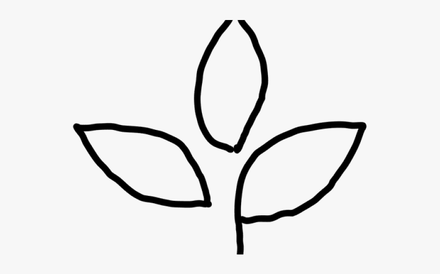 Line Art, Transparent Clipart