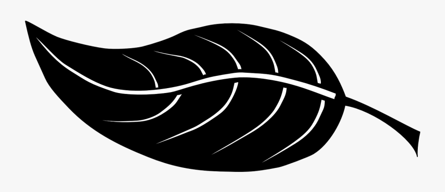 Free Vector Graphic - Leaf Silhouette Clip Art, Transparent Clipart