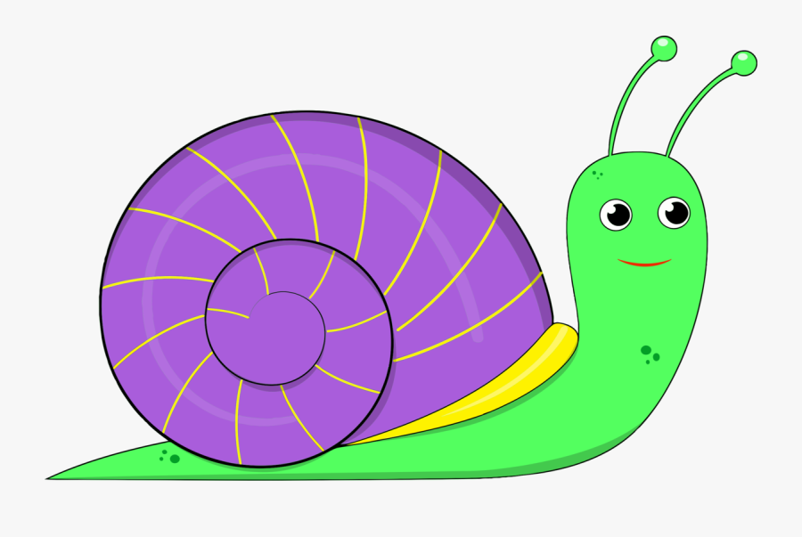 Leaf,snail,area - Snail Clipart, Transparent Clipart