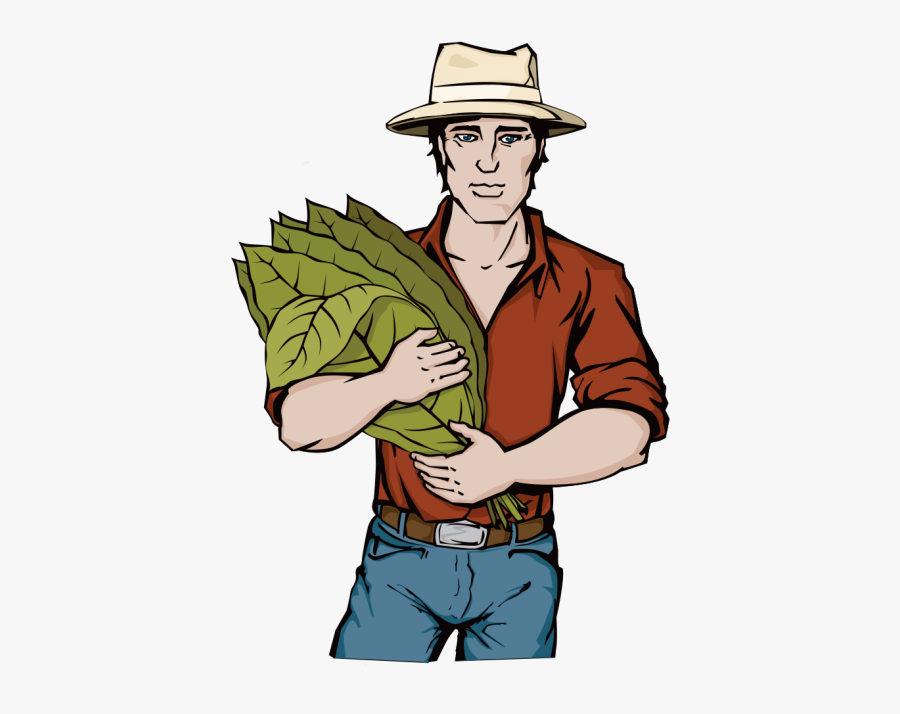 Illustration Design Business Illustrations - Person Farming Tobacco Clipart, Transparent Clipart