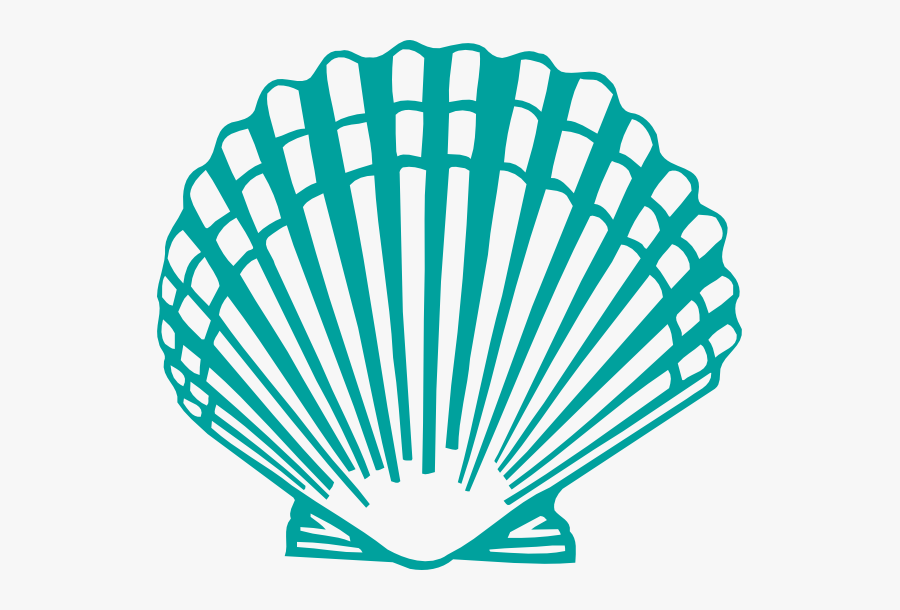 Scallop Shell Clip Art - Clam Shell Clipart Png, Transparent Clipart