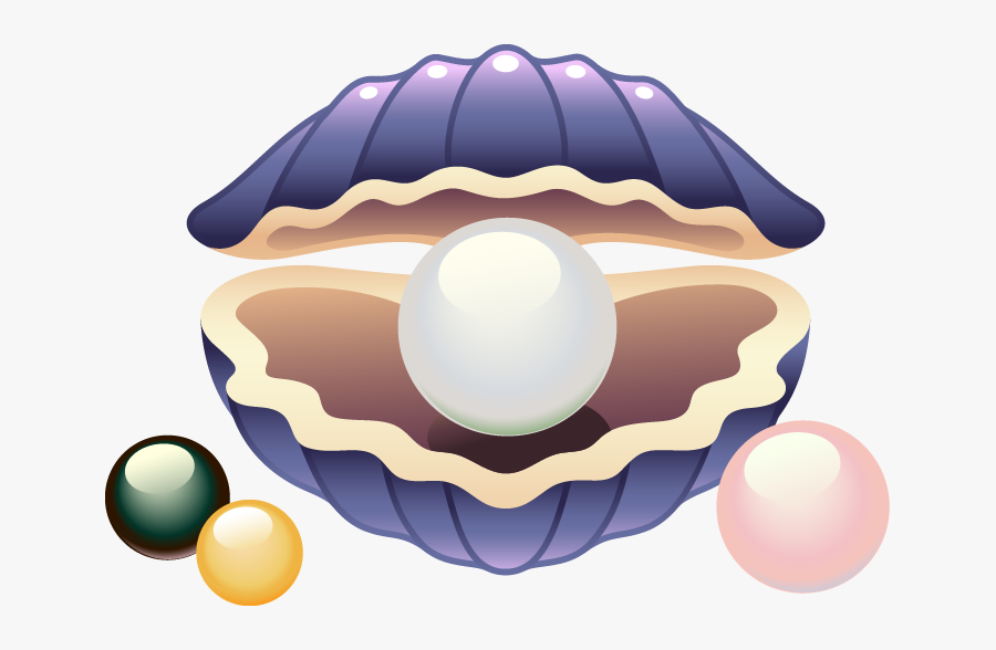 Clam Seashell Drawing Clip - Sea Shells Clip Art, Transparent Clipart