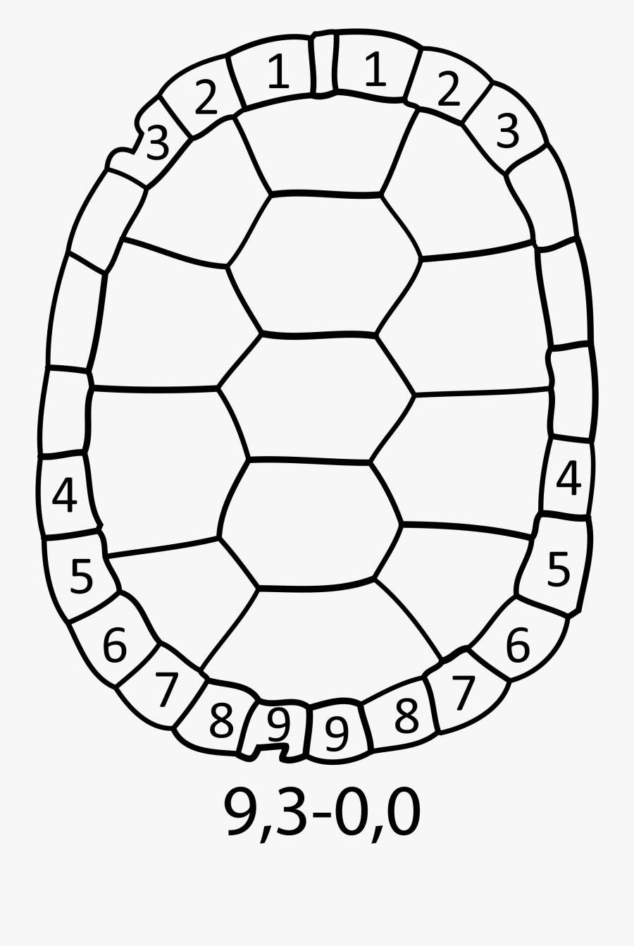 Transparent Shells Clipart Black And White - Easy Turtle Shell Drawing, Transparent Clipart