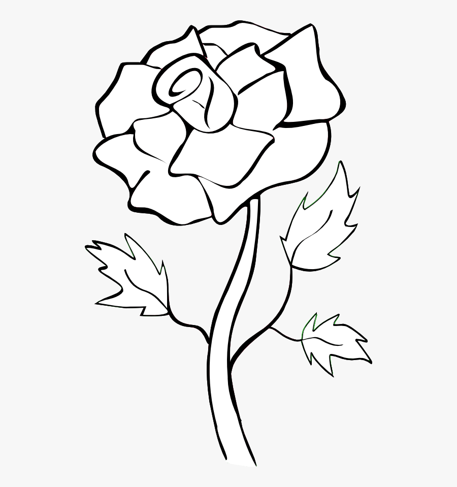 White Rose Clip Art - Rose Flower Clip Art, Transparent Clipart