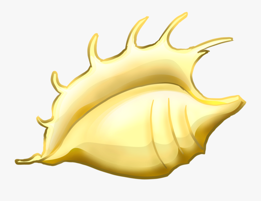 Mollusc Shell Drawing Clip Art Hand Handpainted - Anime Shells, Transparent Clipart