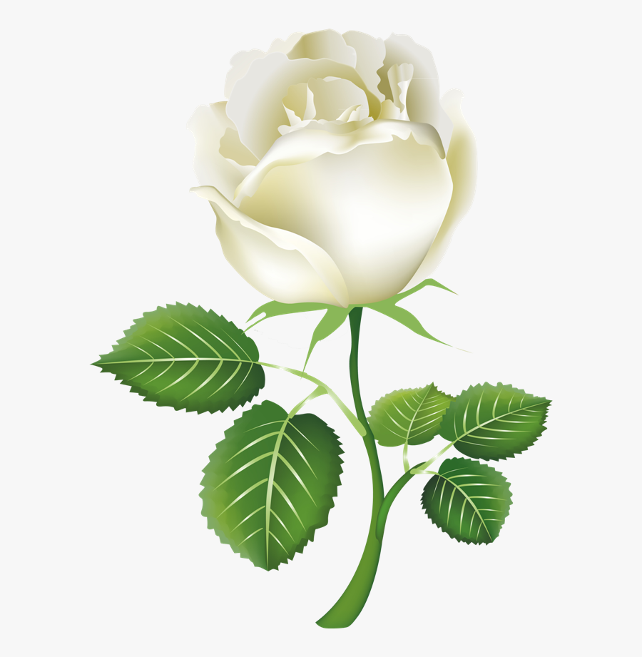 Good Night Best Flower, Transparent Clipart