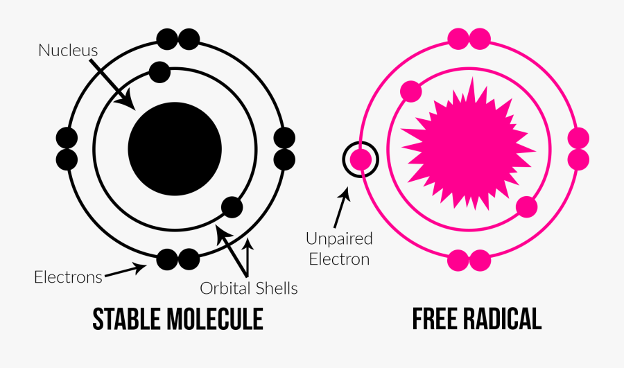 Molecule And Free Radical Diagrams - Free Radical Png, Transparent Clipart
