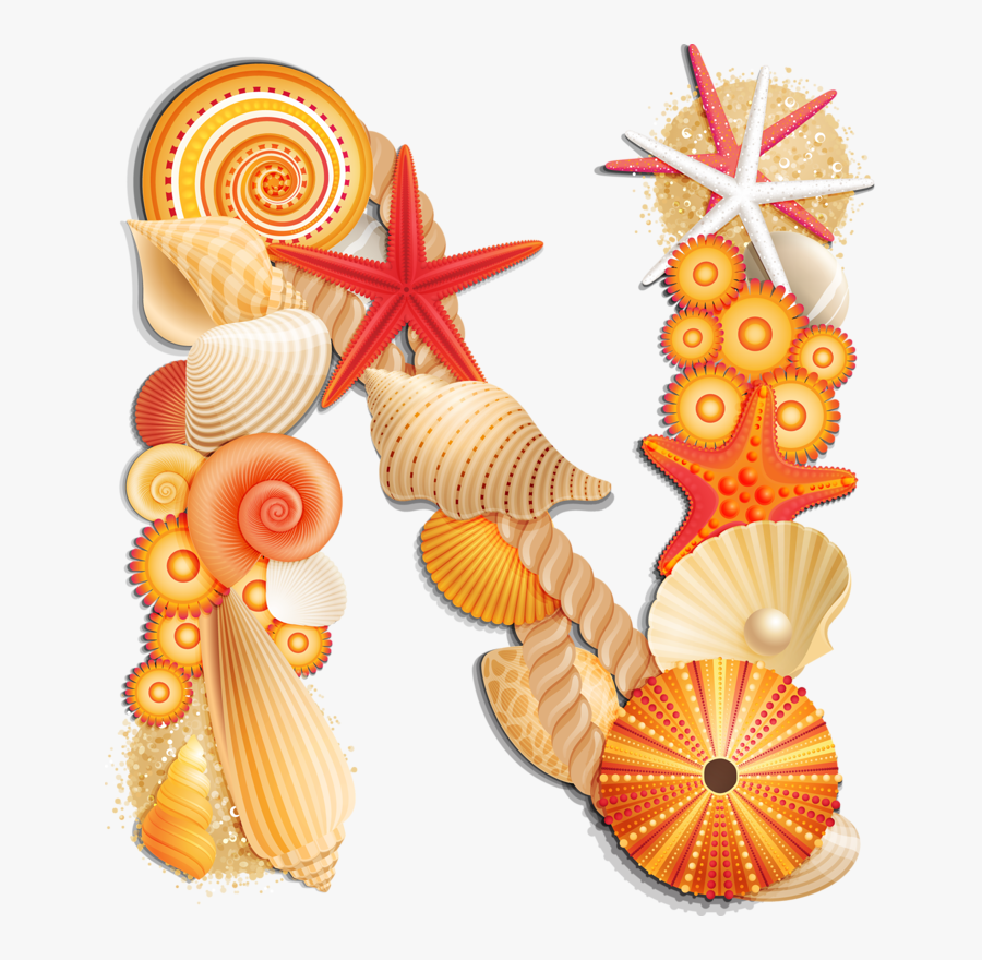 Transparent Seashells Png - Letter N Sea Shells Clipart, Transparent Clipart