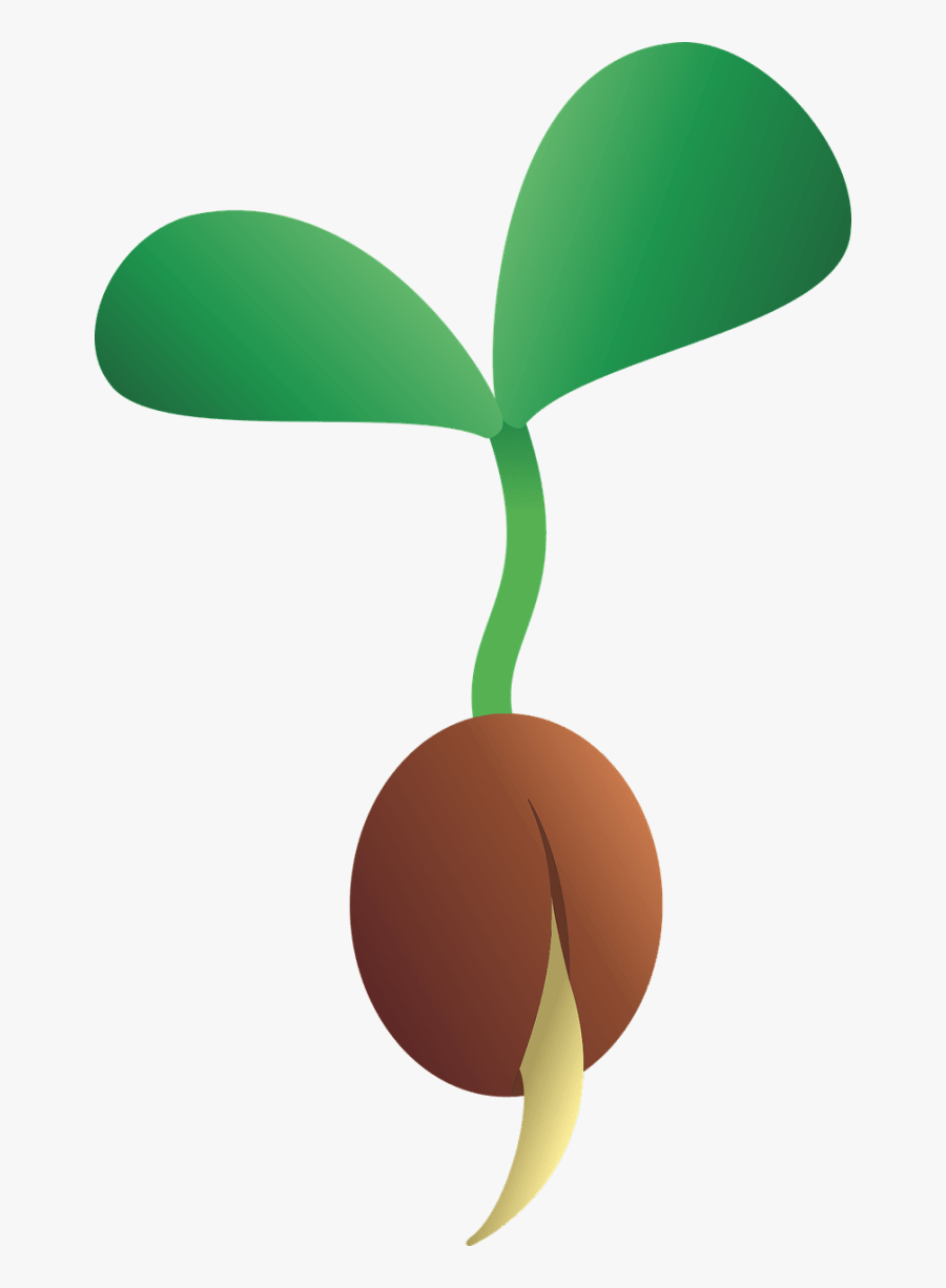 Gardener Clipart Plant Seedling - Seedling Clipart, Transparent Clipart