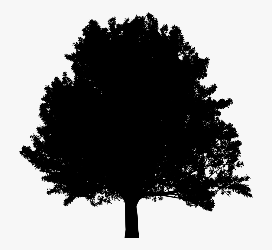 Transparent Treehouse Clipart Black And White - 2d Trees Texture Png, Transparent Clipart