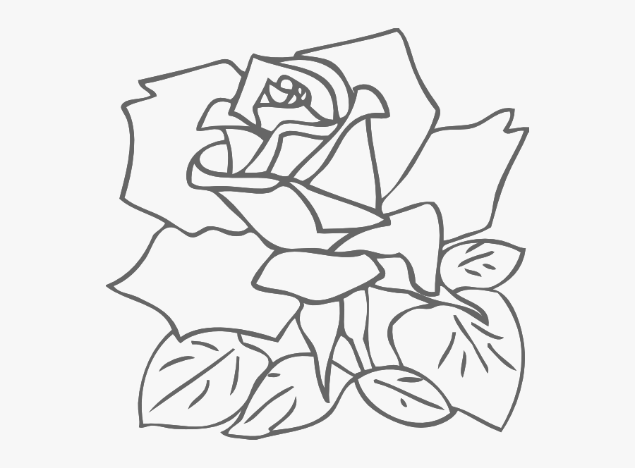 Rose Clipart Coloring - Rose Clip Art, Transparent Clipart