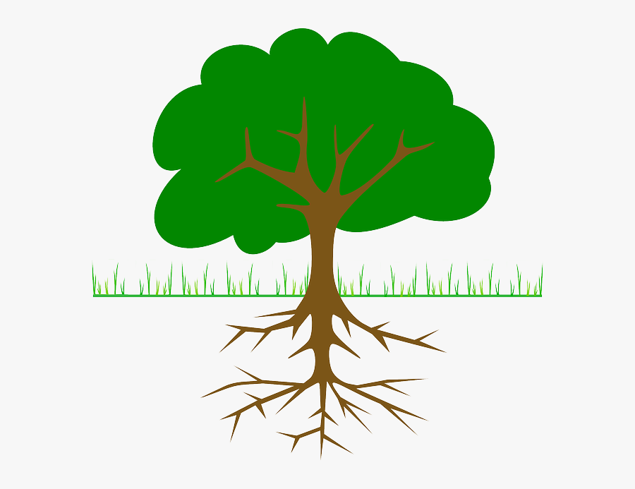 Tree Planting Joplin - Tree Clip Art, Transparent Clipart