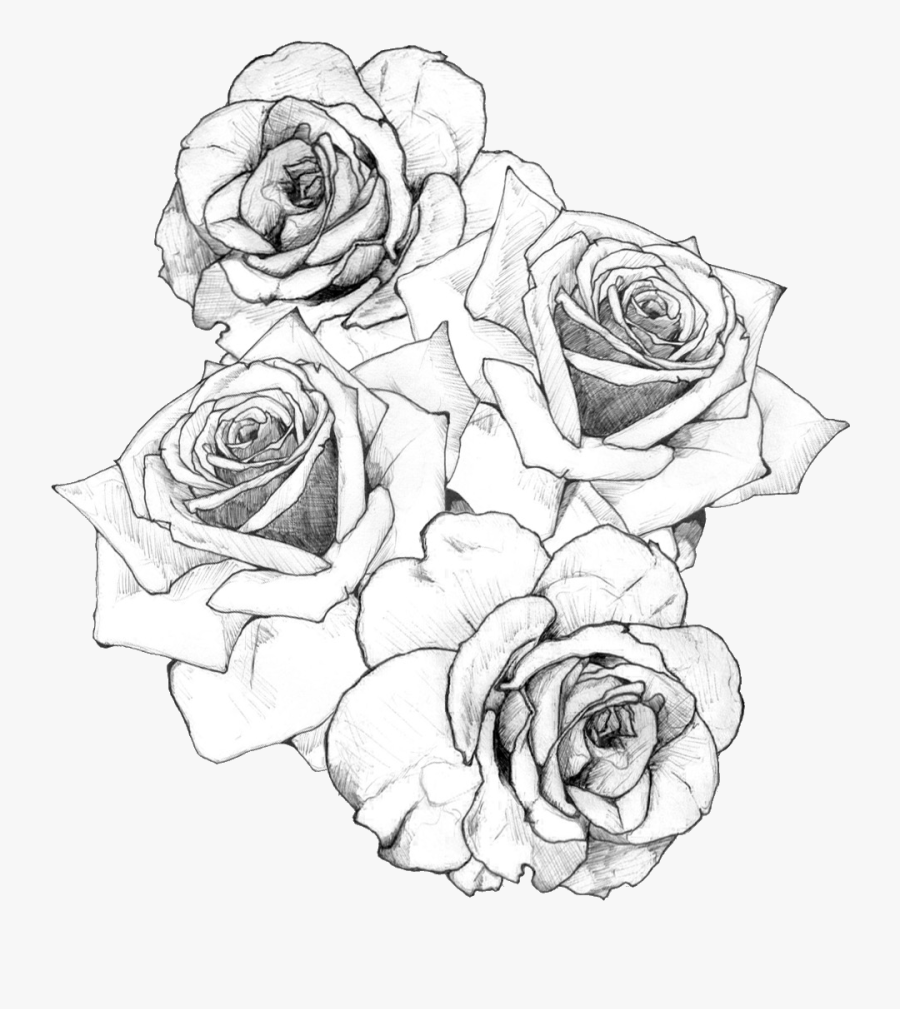 Clip Art Collection Of Free Flash - Bouquet Of Roses Drawing, Transparent Clipart