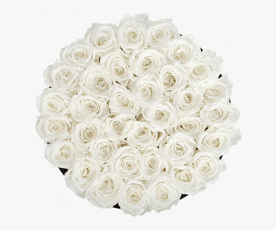 Clip Art Pictures Of White Roses - Floribunda, Transparent Clipart