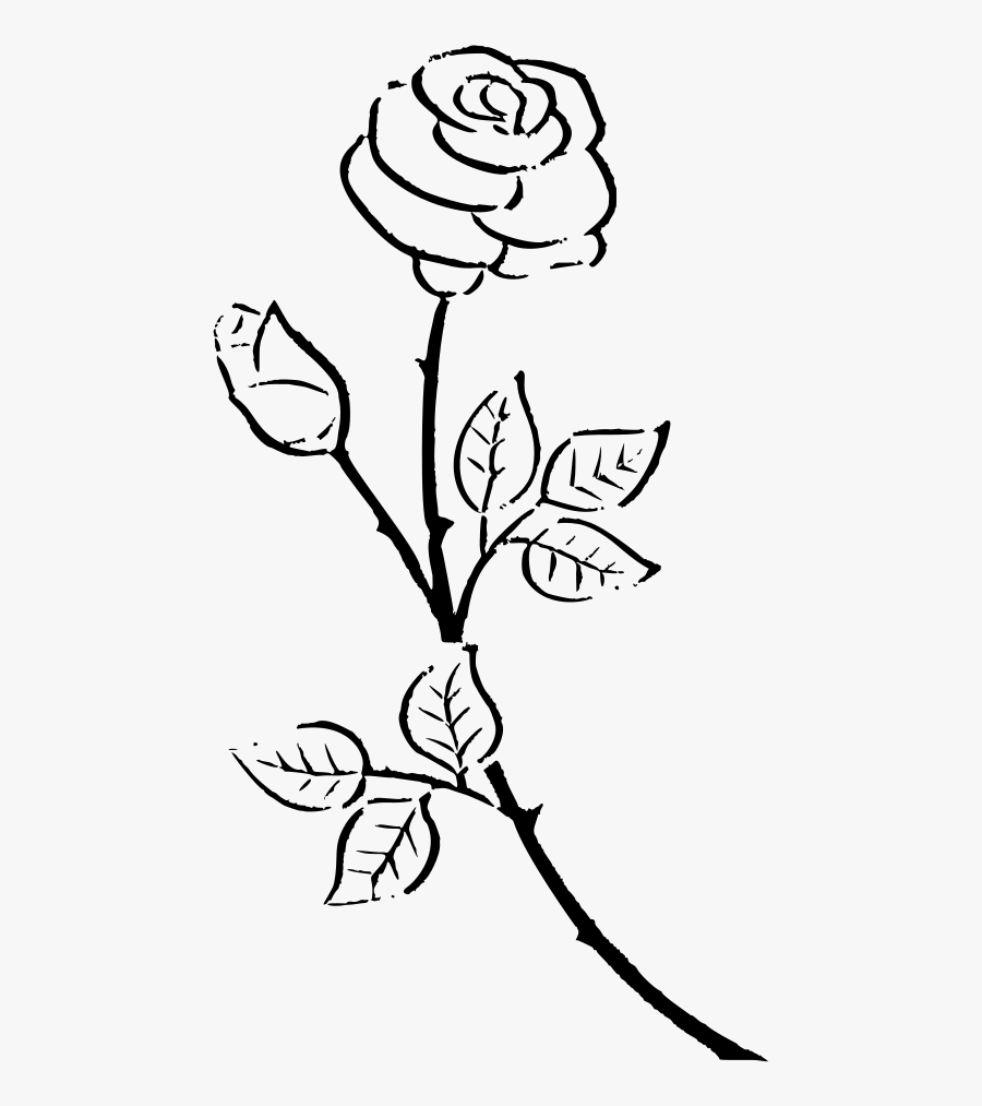 Flower Black And White Clipart Rose - Rose Outline Transparent Background, Transparent Clipart