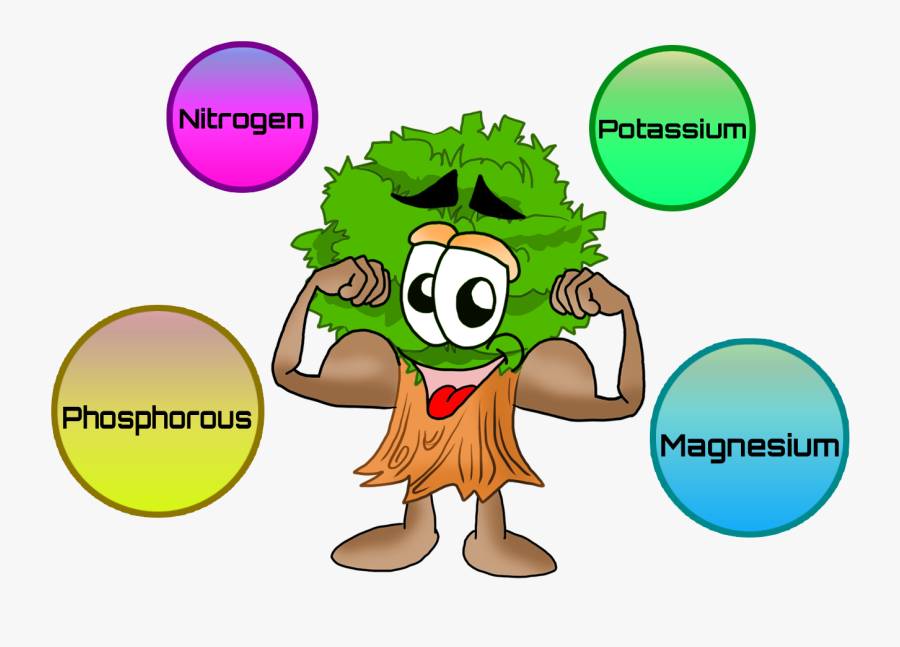 Nutrition Plant Nutrient Frames - Plant Nutrition Clip Art, Transparent Clipart