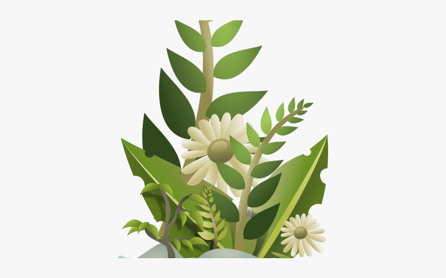 Plants Clipart Png, Transparent Clipart