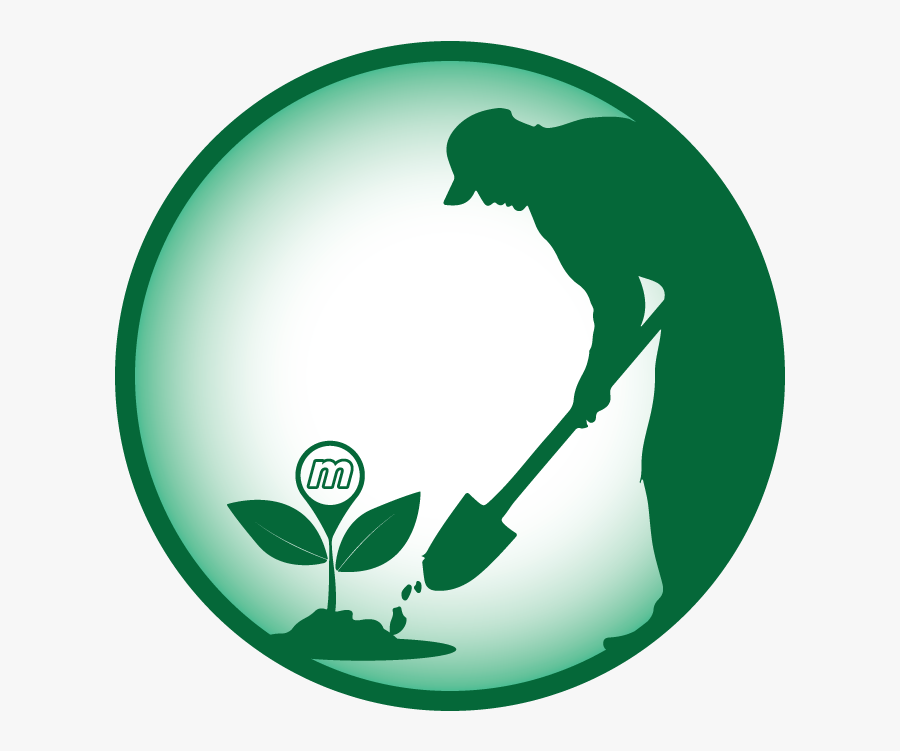 Here Is A Preview Of The 4 Badges Available For Hosts - Go Green Badges, Transparent Clipart