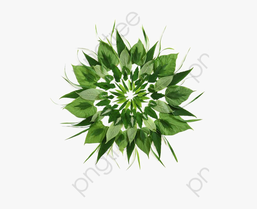 Simple Flower Desktop Backgrounds, Transparent Clipart