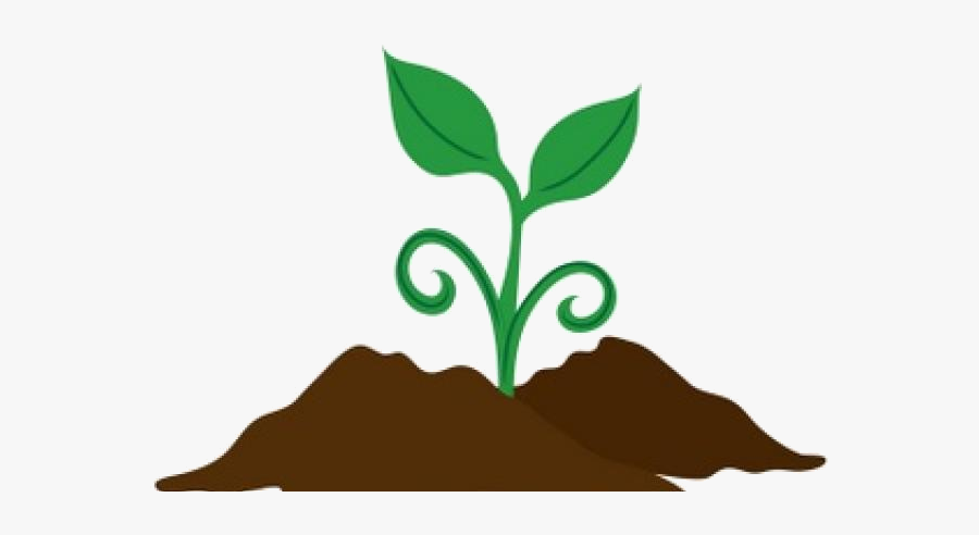 Soil Seeds Clipart Healthy For Free And Use Images - Plant In Soil Clipart, Transparent Clipart