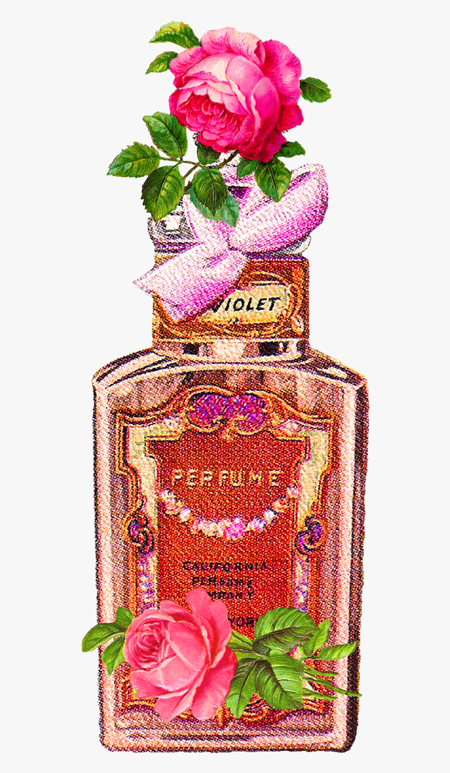 Rose, Transparent Clipart