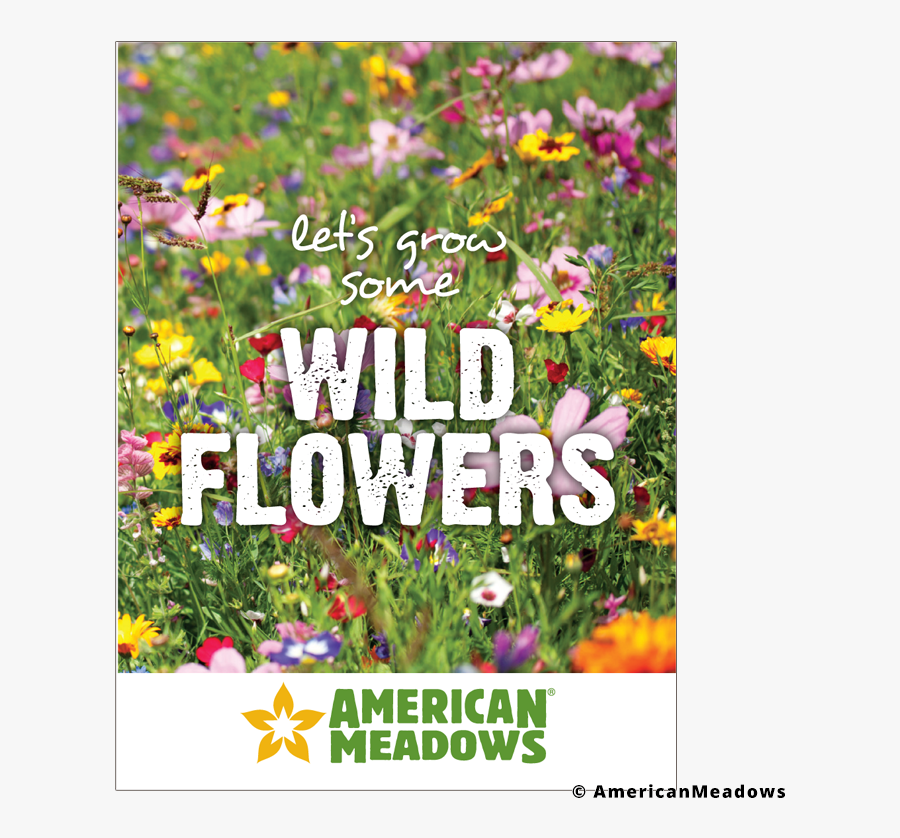 Transparent Wild Flowers Png - Southeast Wildflower Seed Mix, Transparent Clipart