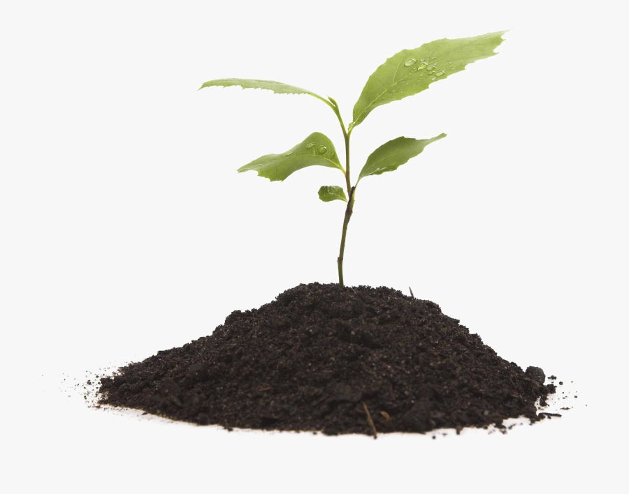 Grow Png Clipart - Plant In Soil Png, Transparent Clipart