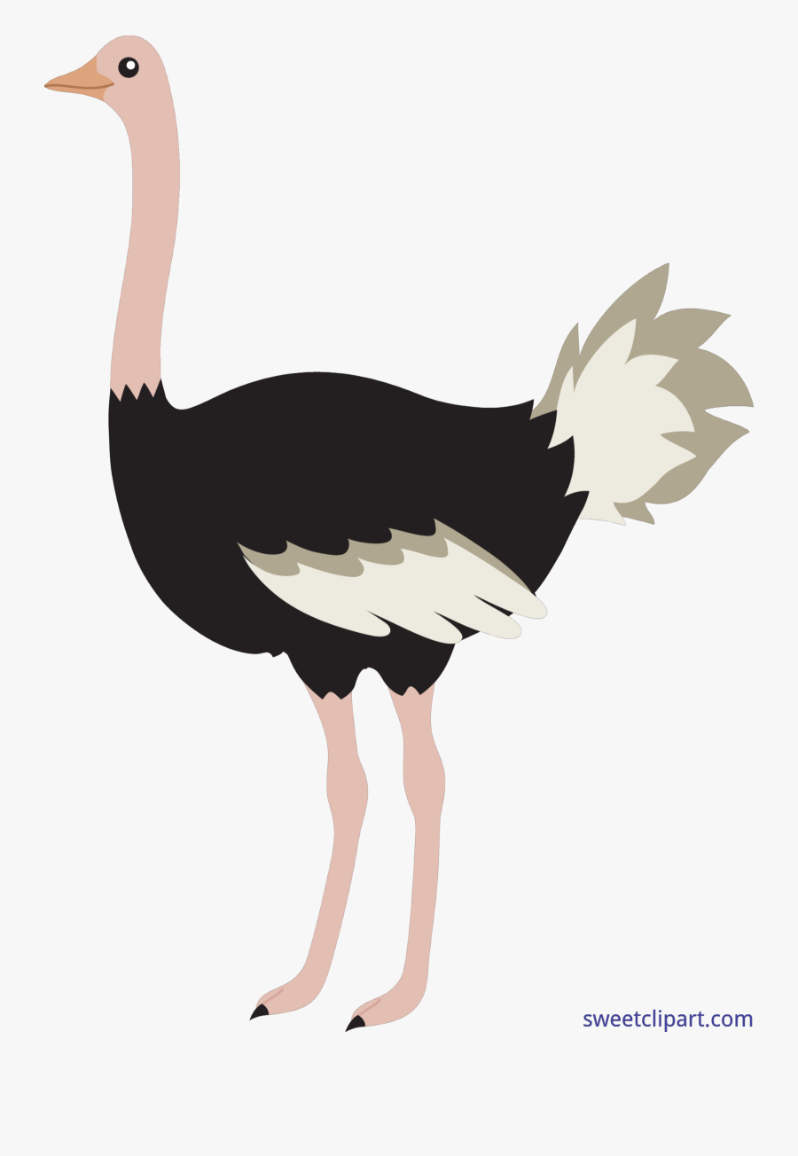 Ostrich Clip Art - Ostrich Clipart, Transparent Clipart