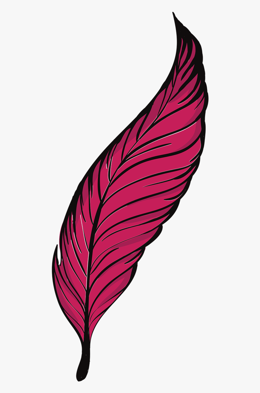 Feather Clipart Quill - Sketsa Gambar Bulu Burung, Transparent Clipart