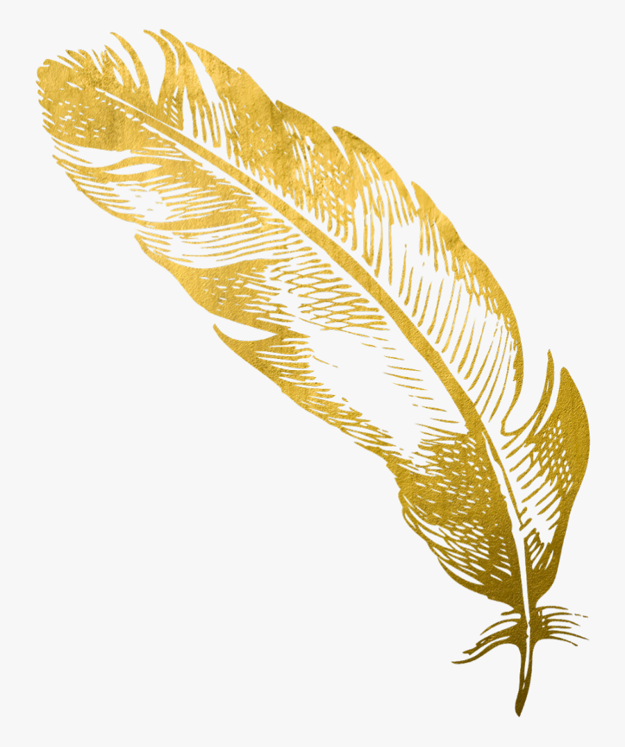 #gold #feather #feathers #native #boho #pretty #decals - Pen Feather Clipart Gold, Transparent Clipart