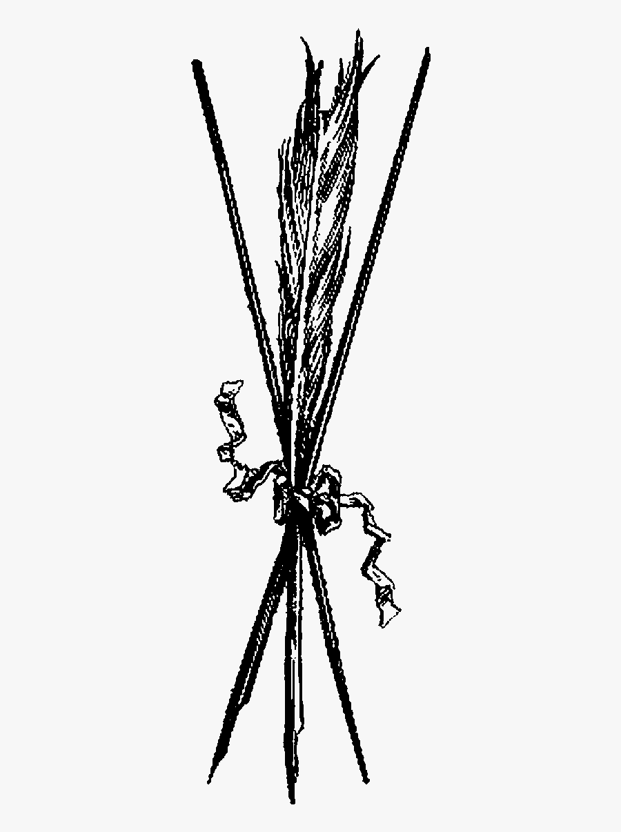 Illustration, Transparent Clipart