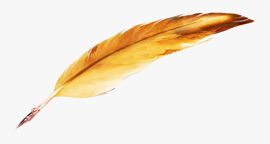 Transparent Feather Pen Clipart - Quill Feather Pen Png, Transparent Clipart
