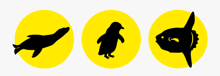 Dolphin & Whale Watching Tauranga - Adã©lie Penguin, Transparent Clipart