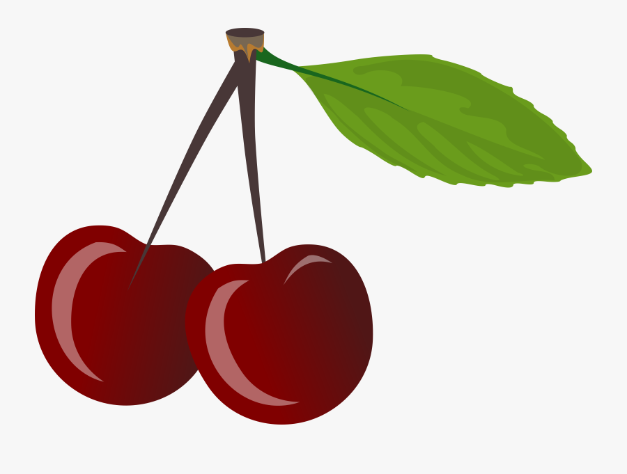 Brace Cherries Cherry Free Picture - Cherries Clipart, Transparent Clipart