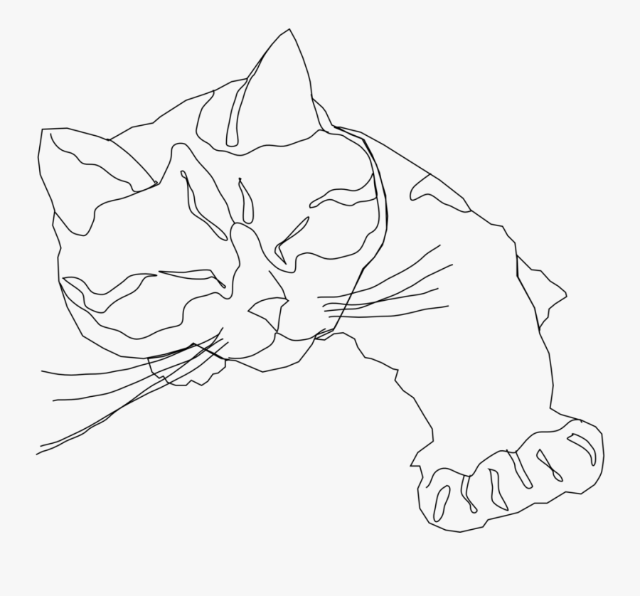Contour Line Drawing Cat, Transparent Clipart