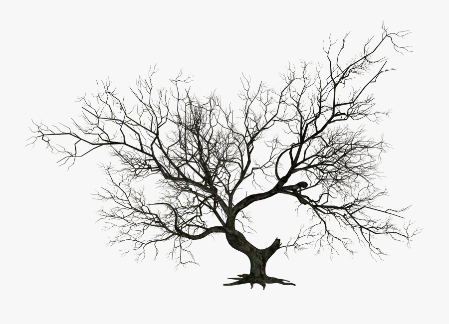 Wicked Halloween Tree Clipart Freeuse - Dead Tree Png Hd, Transparent Clipart