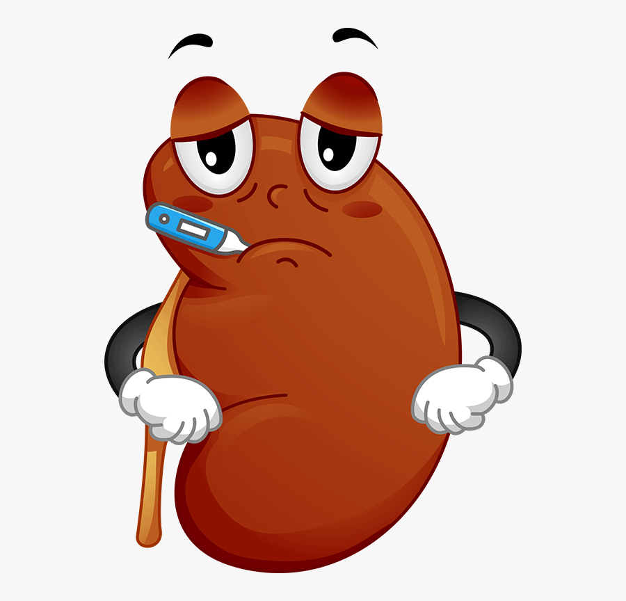 Kidney Failure Clipart - Chronic Kidney Disease Clipart, Transparent Clipart