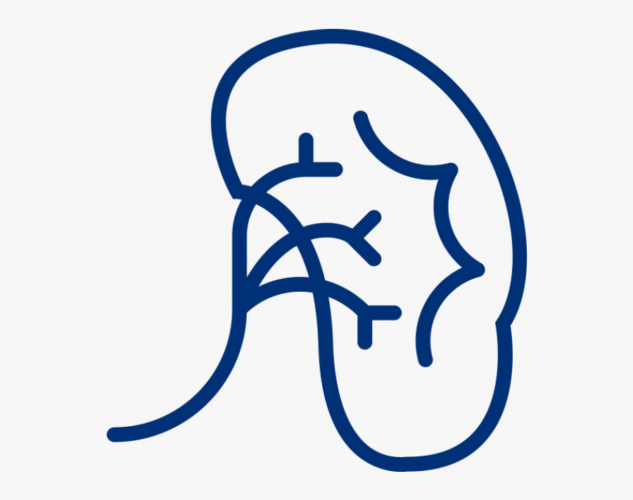 Chronic Kidney Disease Clipart Images Transparent Png - Icon, Transparent Clipart