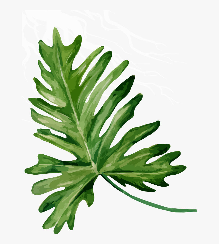 Bandinist Floppy Bow Headband-tropical Mix Clipart - Foglie Giungla Png, Transparent Clipart