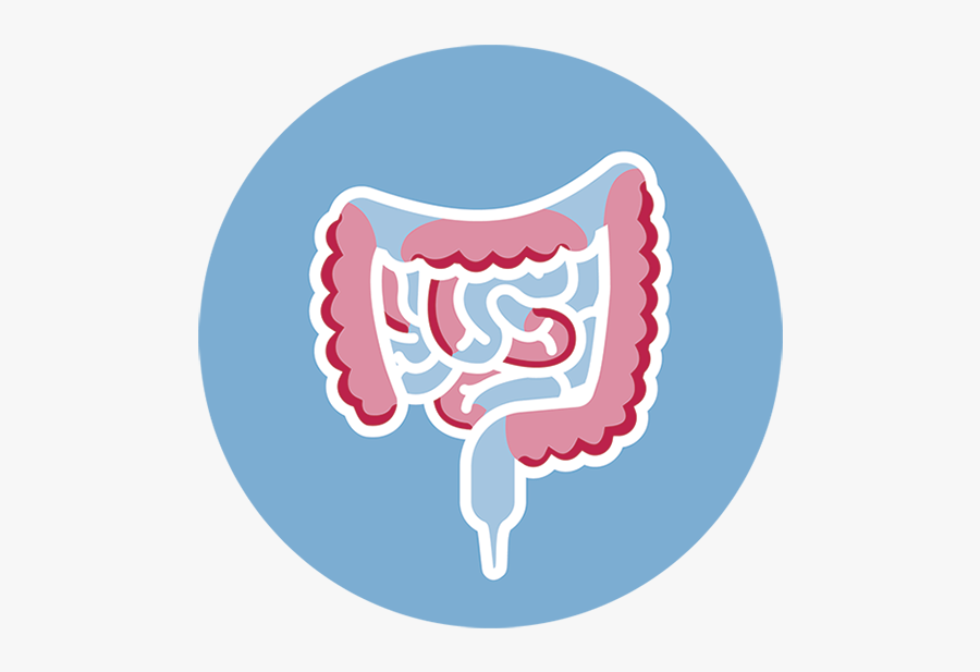 Crohn's Disease Png, Transparent Clipart