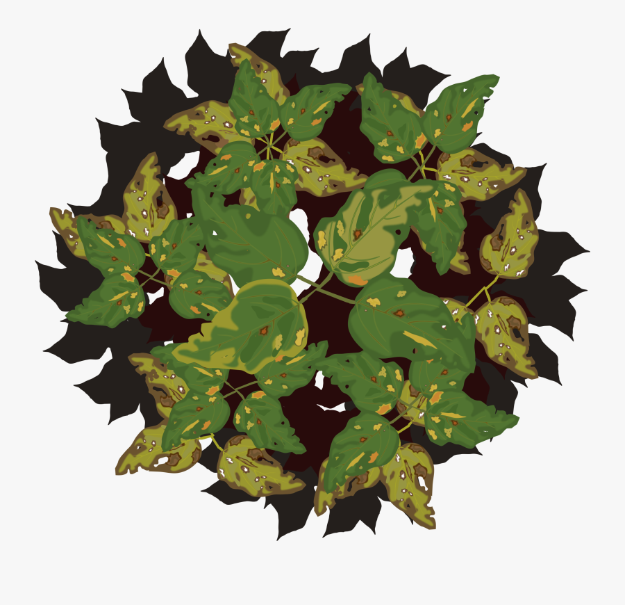 Clip Royalty Free Download Tree Big Image Png - Disease Of Plant Png, Transparent Clipart
